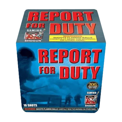 Report For Duty