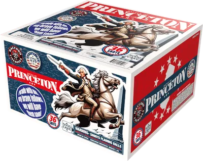 Battle of Princeton